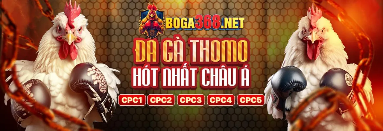 Bảo mật và độ tin cậy của zalv code